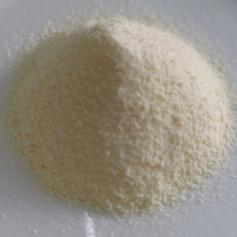 Hur förbättrar Antacida Non-Mejeri Creamer din matsmältningshälsa?